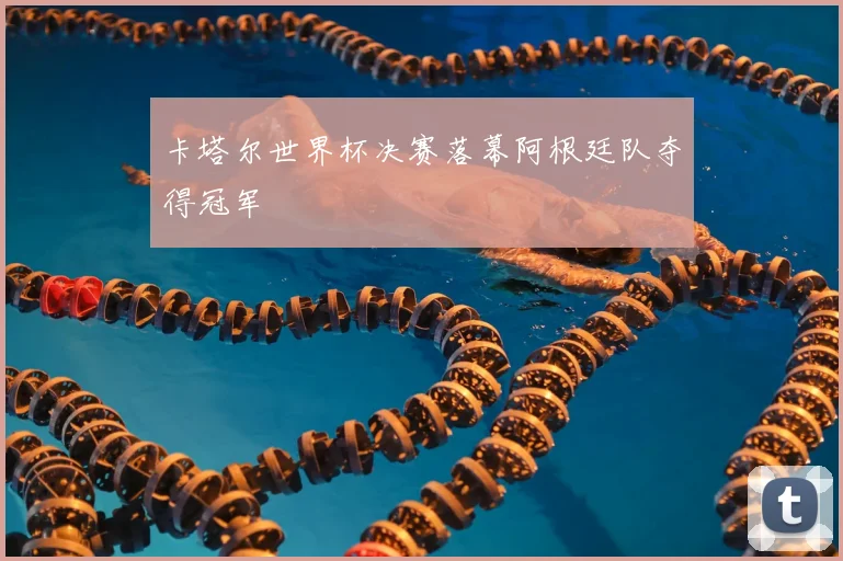 卡塔尔世界杯决赛落幕阿根廷队夺得冠军